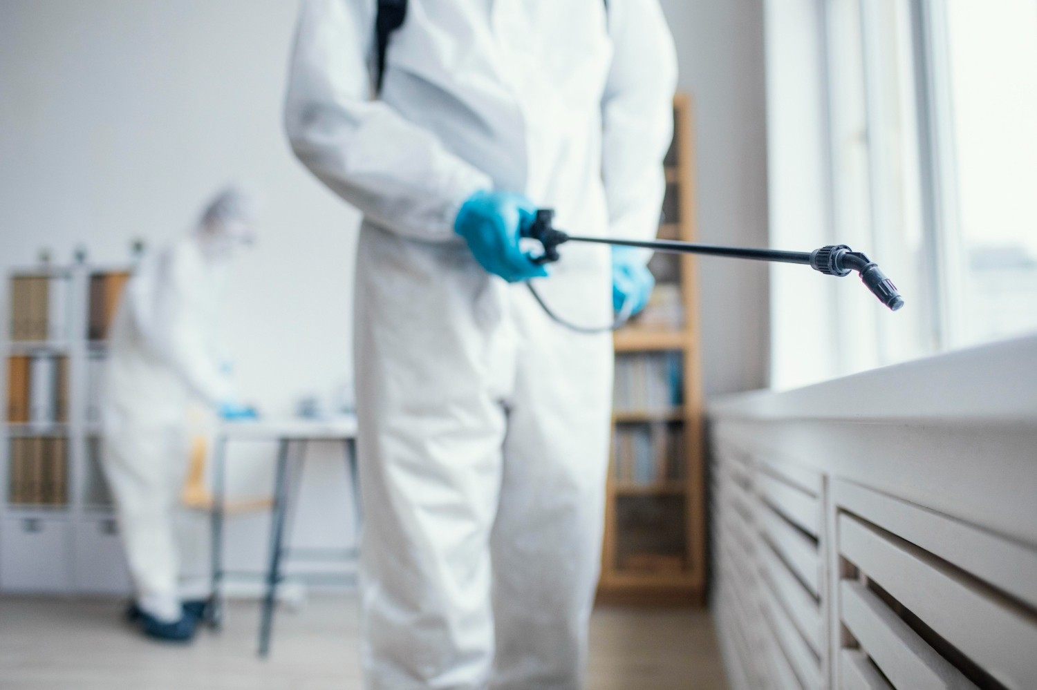 Common Pests to Watch Out For
